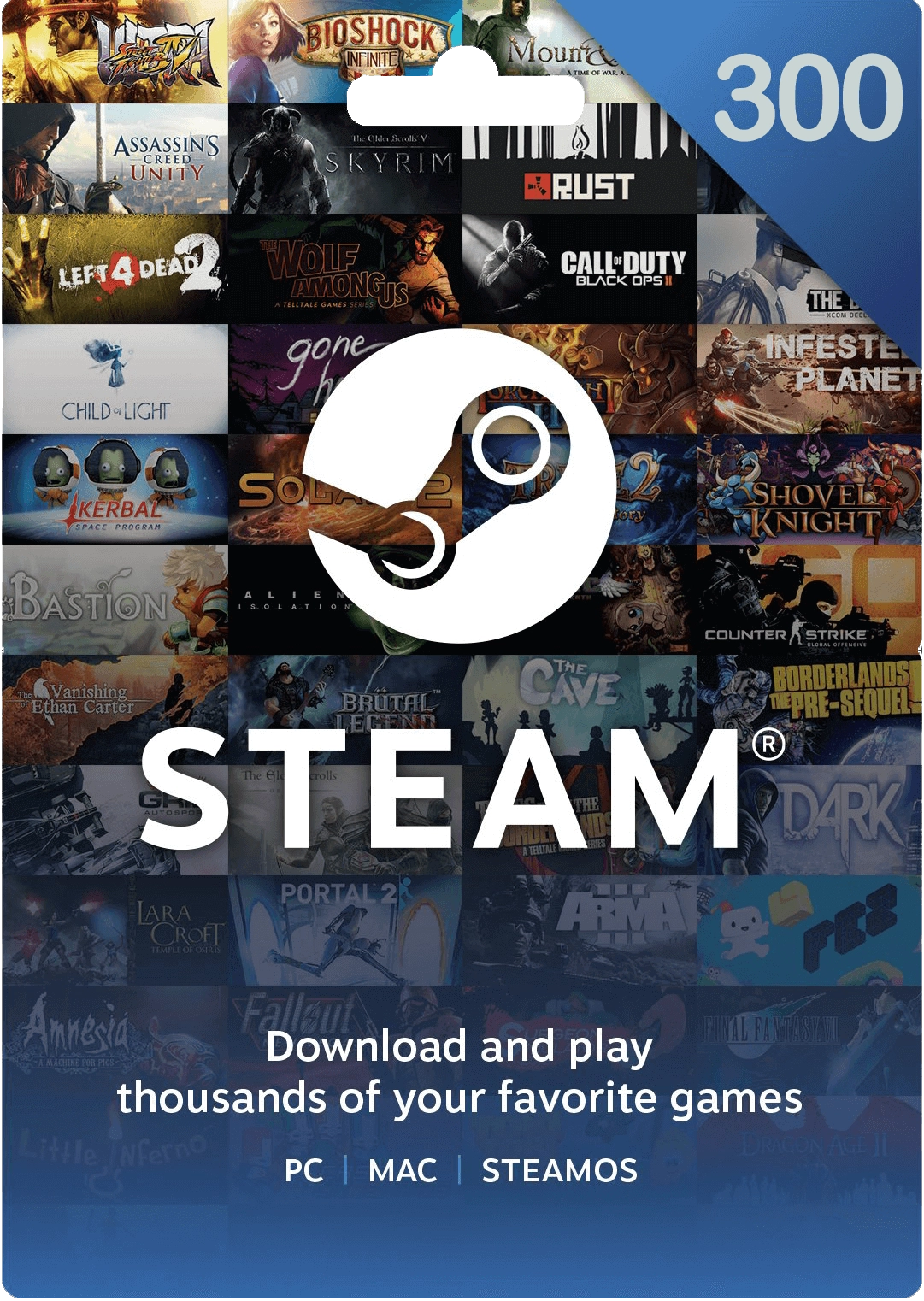 $300 Steam Gift Card